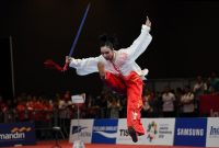 Olahraga Wushu