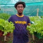 Bisnis Sayuran Hidroponik Oleh Paytani.Id