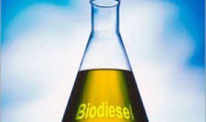 pengembangan Bahan Bakar Biofuel